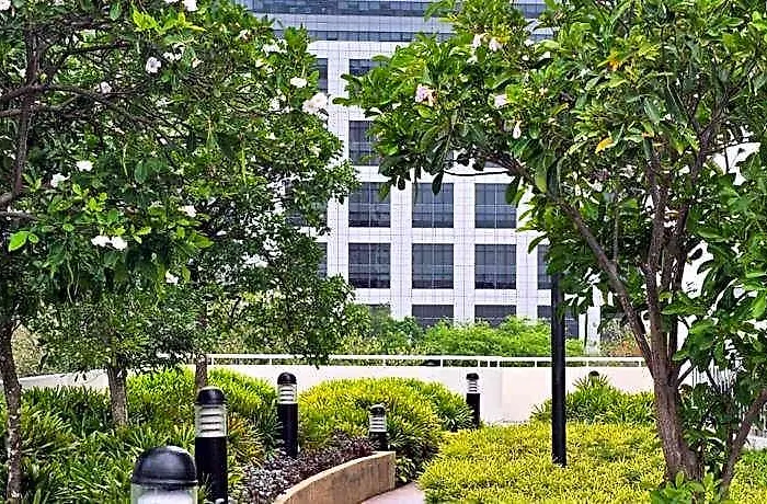 12th-floor 1br At Avida Tower 1, It Park Cebu. Cebu